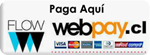 boton_pago_ini